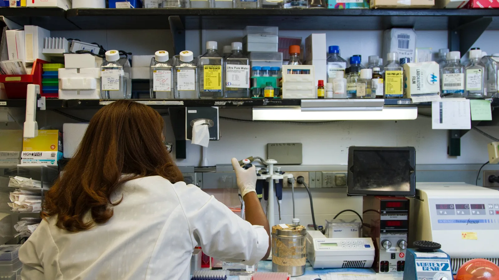 Biomni artificial intelligence system for biomedical research