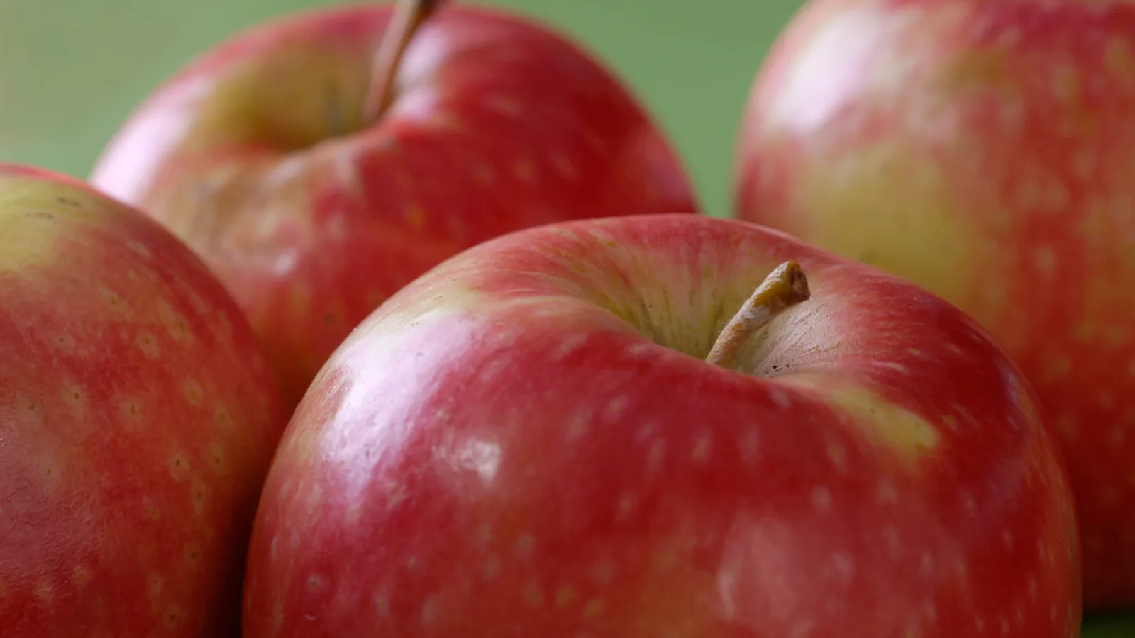 Investimentos de Greg Abel em Apple e Alphabet no portfólio da Berkshire Hathaway